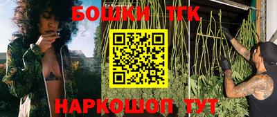 гашик Ирбит