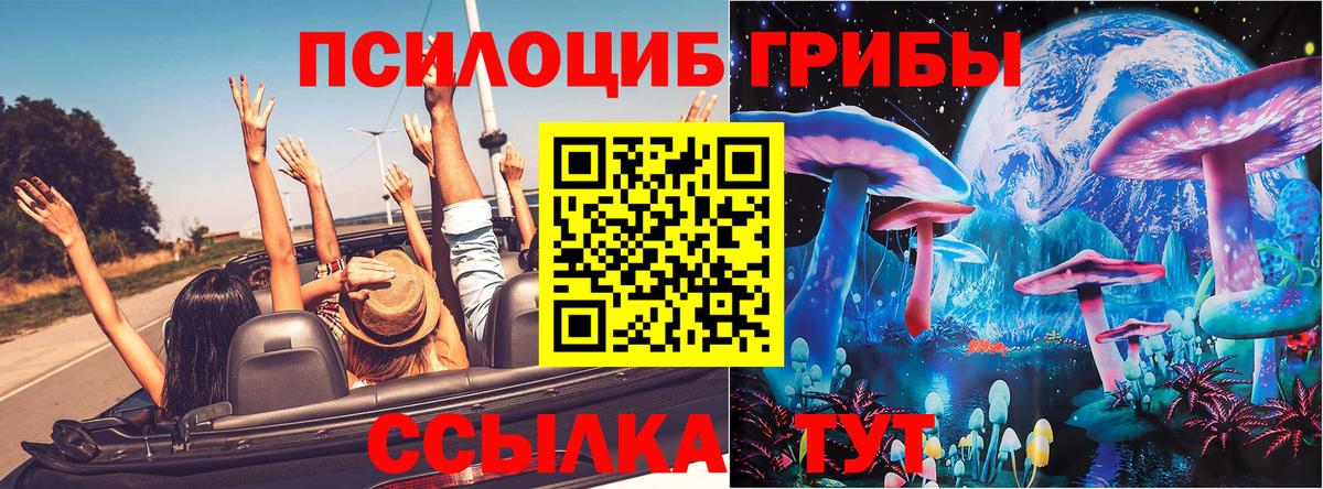Кушва  как найти   Вход с VPN  Галлюциногенные грибы MAGIC MUSHROOMS 