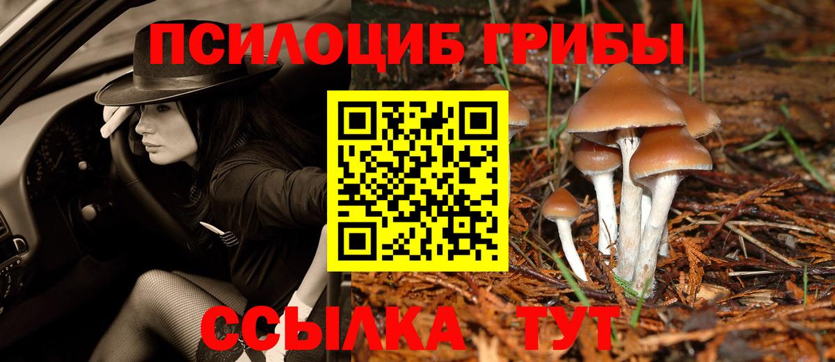 Галлюциногенные грибы Cubensis Кушва